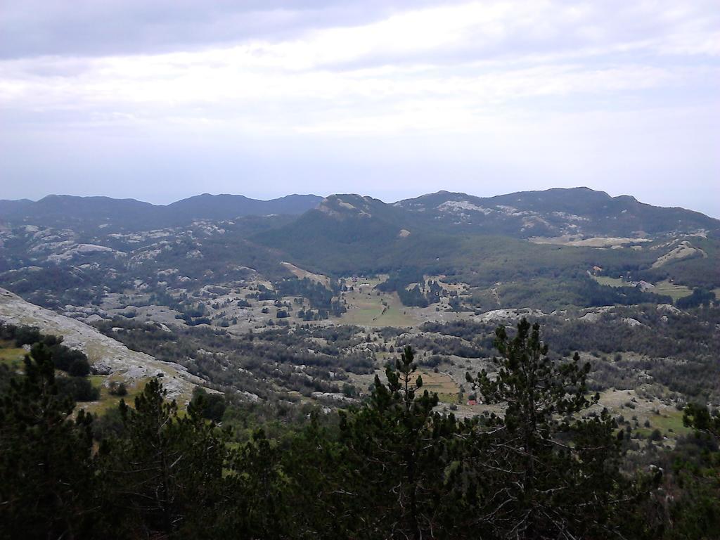 Apartments Mirkovic Cetinje Kültér fotó