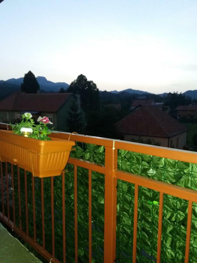 Apartments Mirkovic Cetinje Kültér fotó